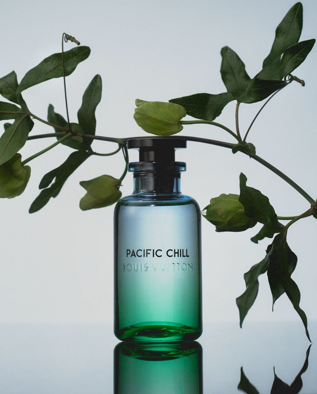 PACIFIC CHILL LOUIS VUITTON